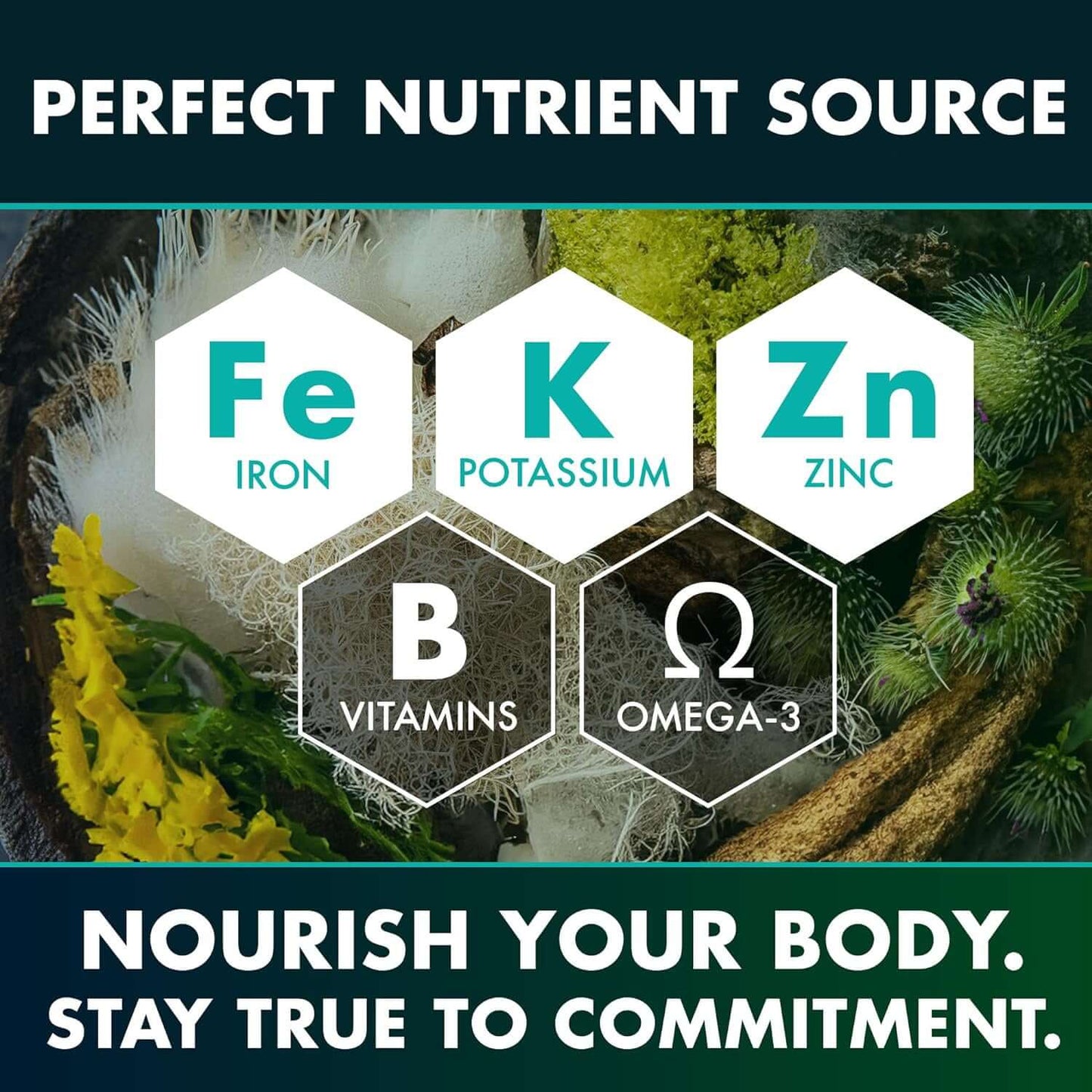 Seaweed Compound Vitamin Capsules – 120 Natural Wellness Supplements