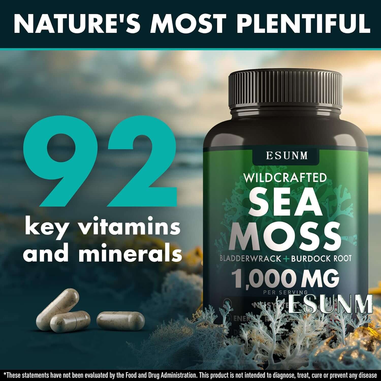 Seaweed Compound Vitamin Capsules – 120 Natural Wellness Supplements