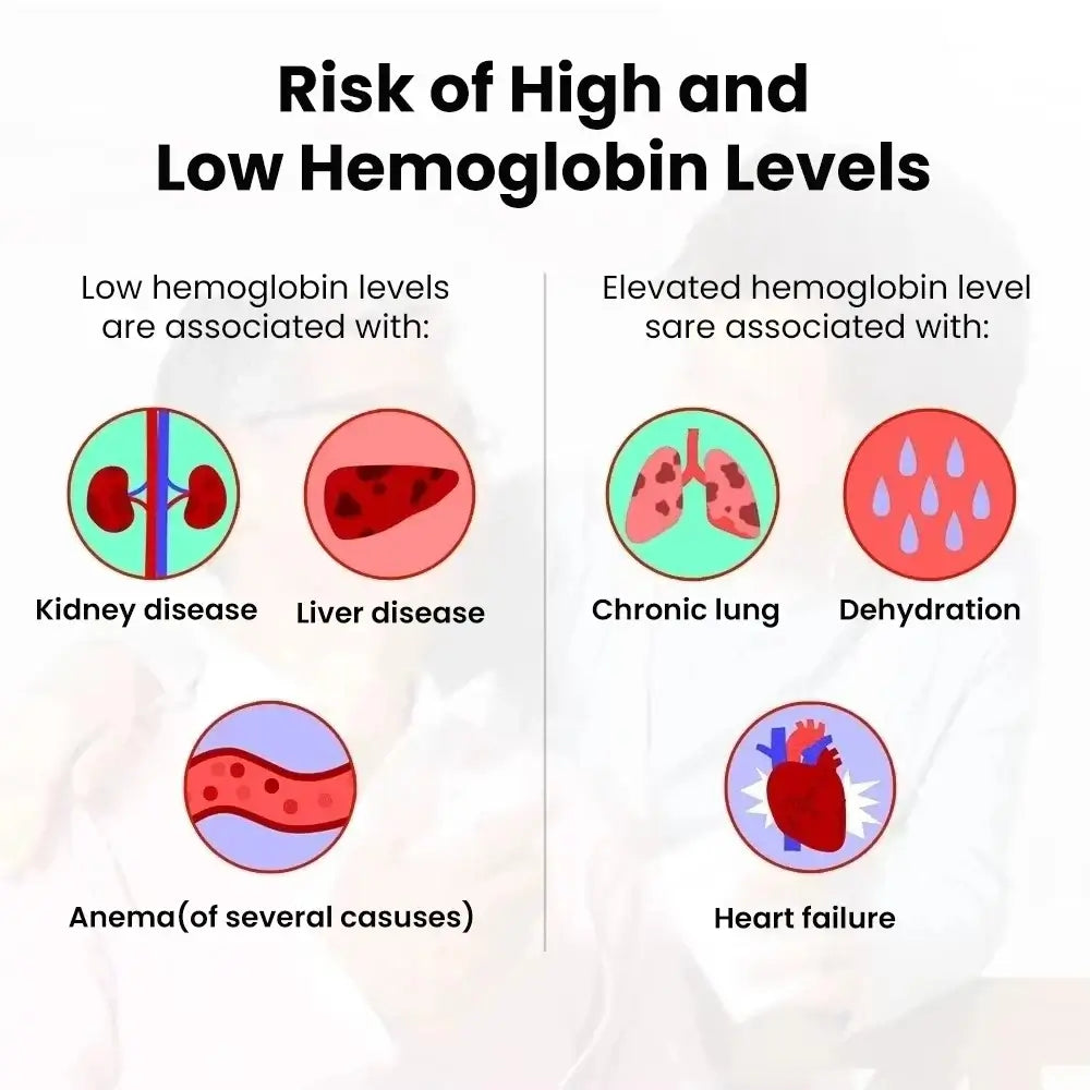 Rapid Hemoglobin Test Meter Kit – Accurate Blood Analysis