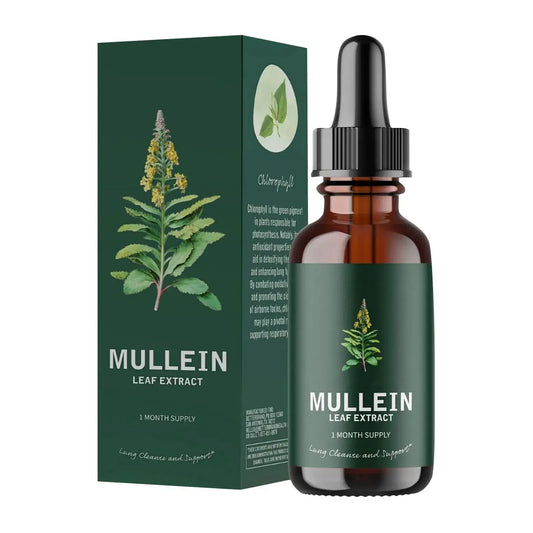 Mullein Leaf Extract Lung Support Drops – Respiratory Care 10ml