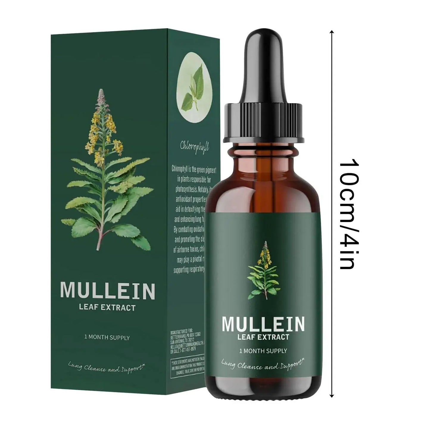 Mullein Leaf Extract Lung Support Drops – Respiratory Care 10ml