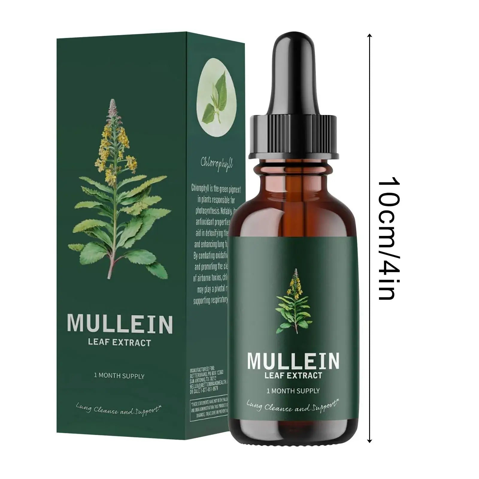 Mullein Leaf Extract Lung Support Drops – Respiratory Care 10ml