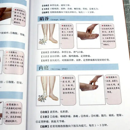 Health & Wellness Guide – Easy Massage & Acupuncture Tips