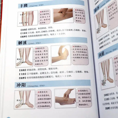Health & Wellness Guide – Easy Massage & Acupuncture Tips