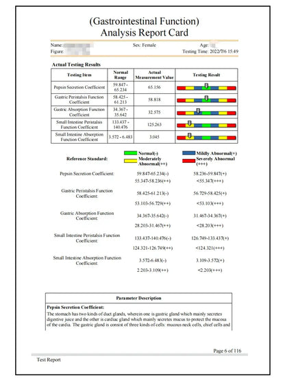 6G Quantum Resonance Magnetic Analyzer – Full-Body Health Tool