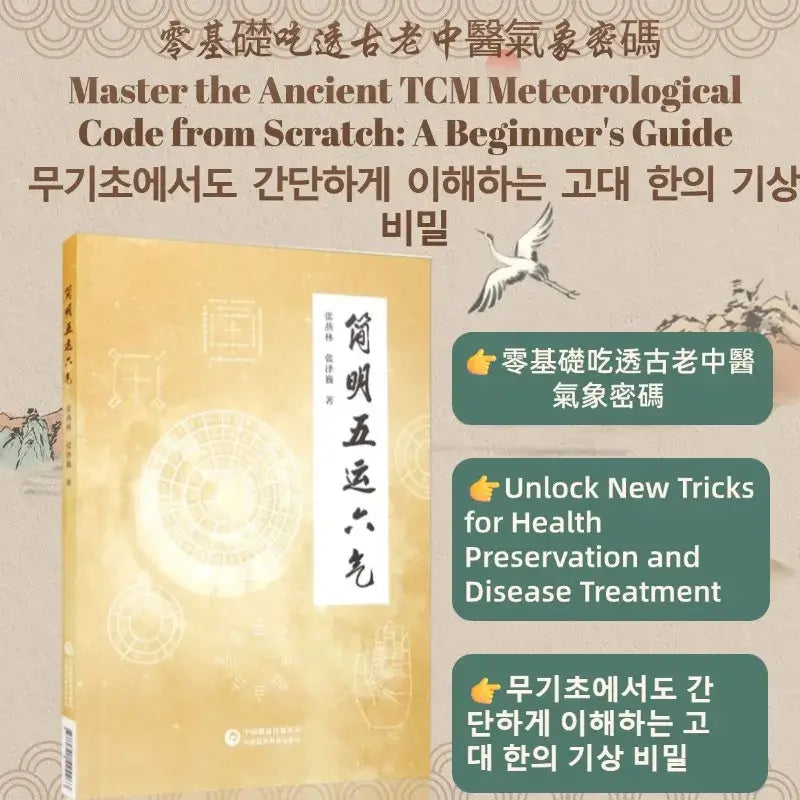 Five Movements & Six Qi – Holistic Wellness Guide